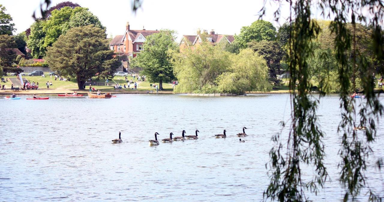 Perfect For Petersfield B&B Bagian luar foto